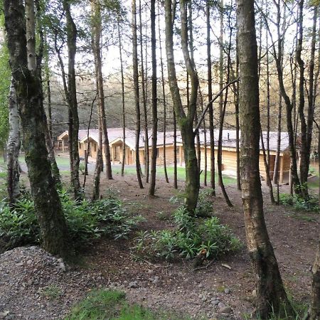 Wyldwood Lodge Cheadle  Eksteriør bilde