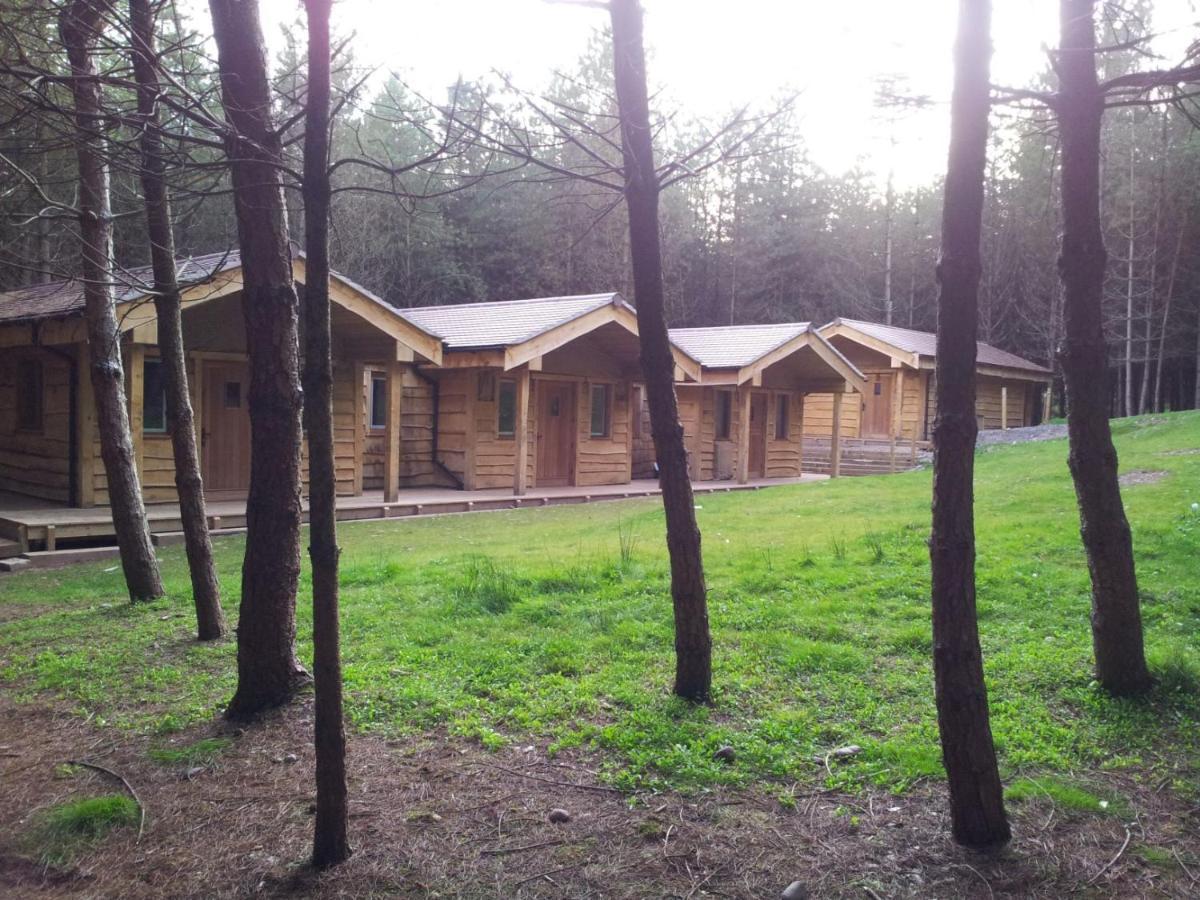 Wyldwood Lodge Cheadle  Eksteriør bilde