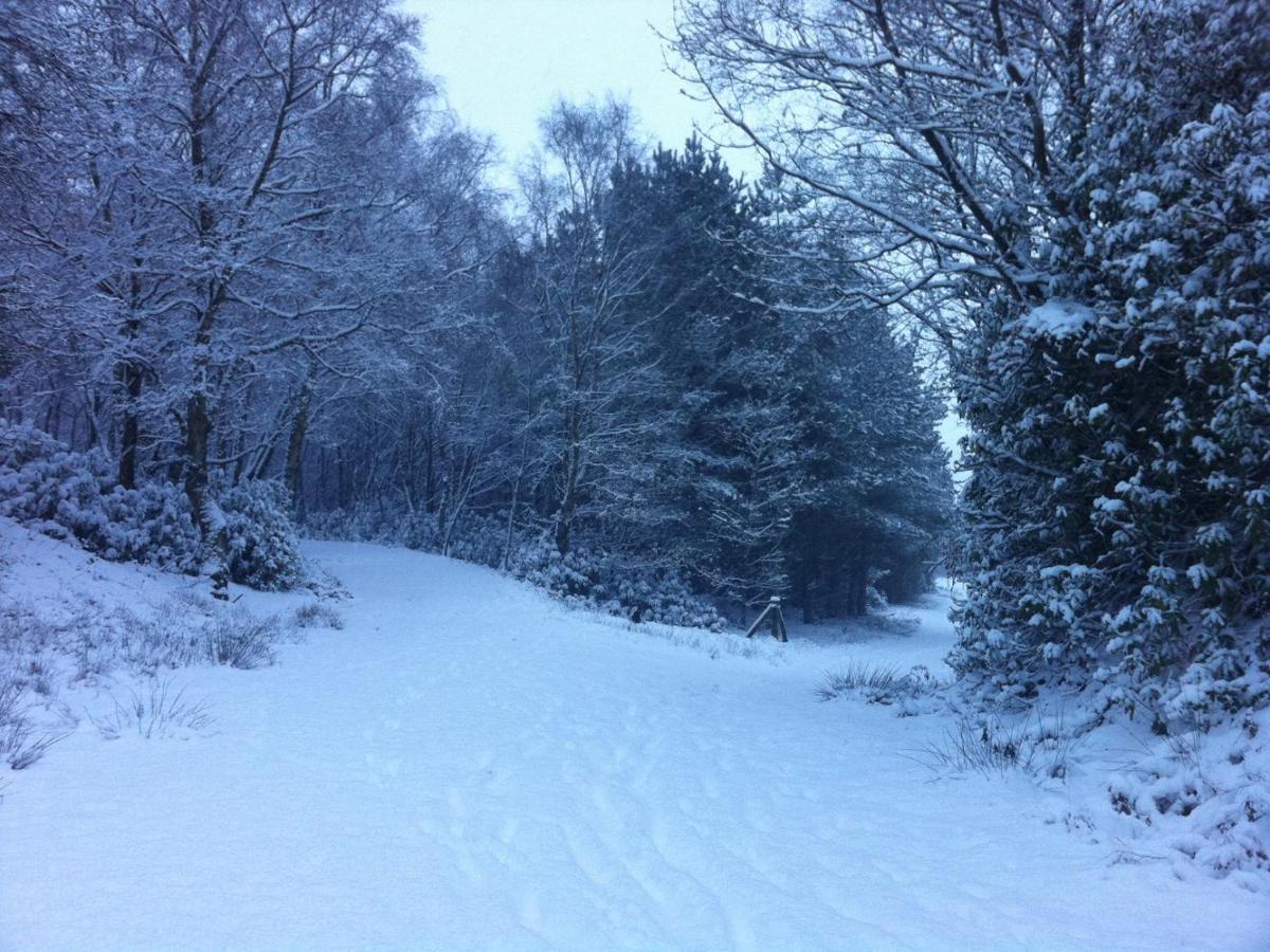 Wyldwood Lodge Cheadle  Eksteriør bilde