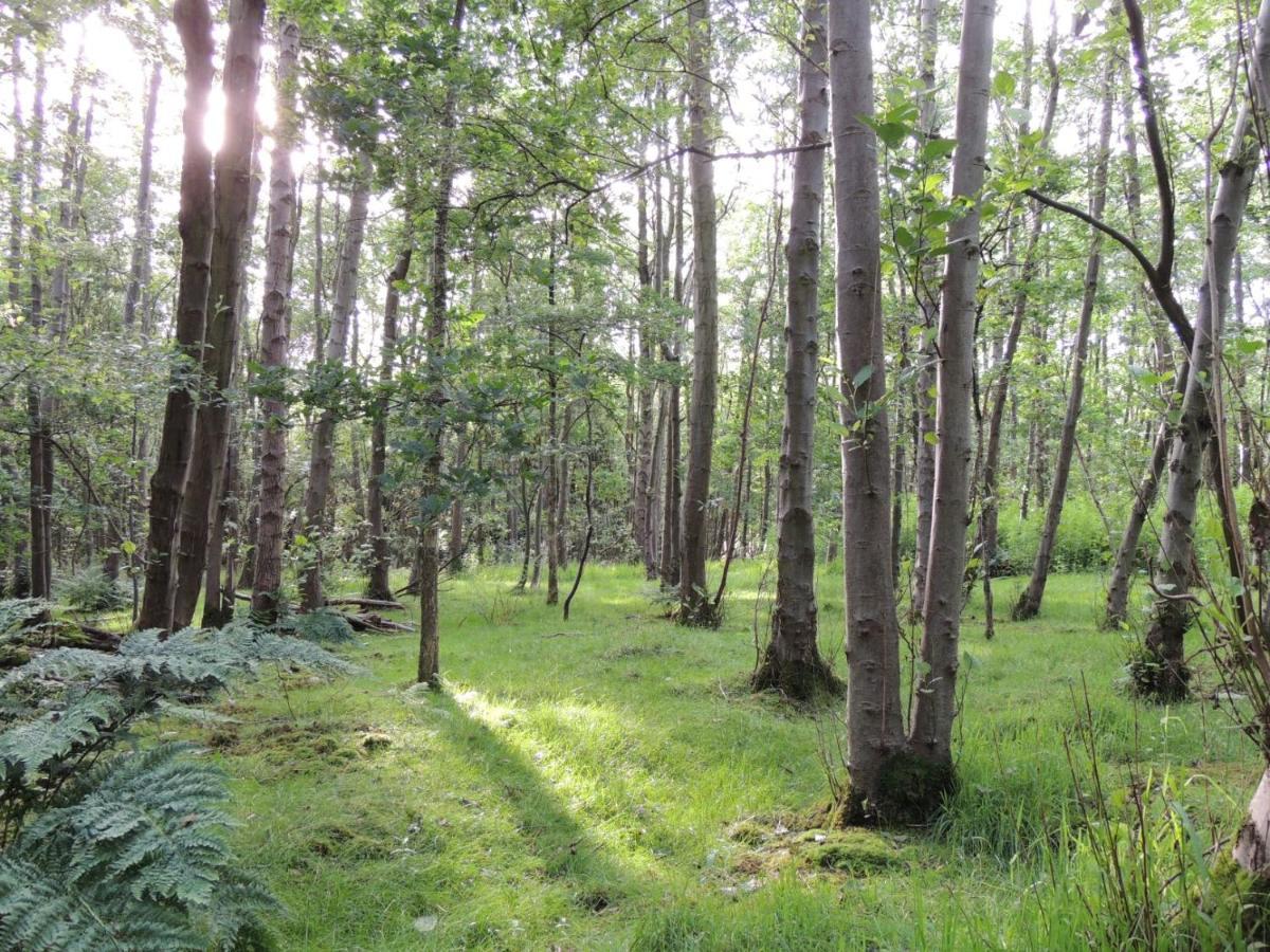 Wyldwood Lodge Cheadle  Eksteriør bilde