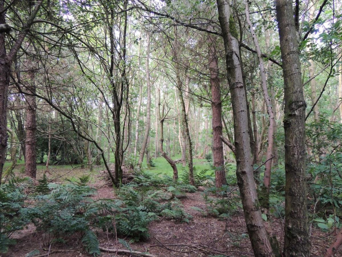 Wyldwood Lodge Cheadle  Eksteriør bilde